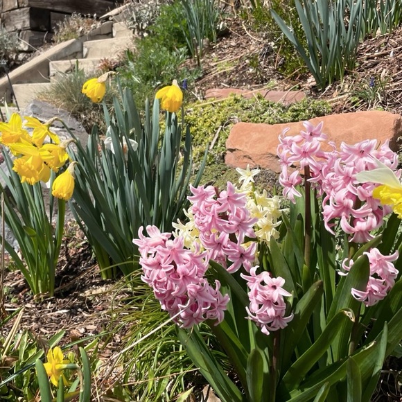 Meet your Posher - Picture 1 of 1